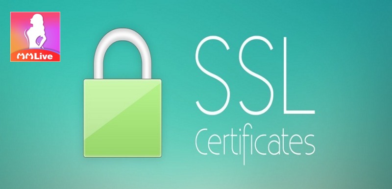 Mẹo chơi tài xỉu xanh chín mà cao thủ nào cũng áp dụng 2 công nghệ mã hóa SSL