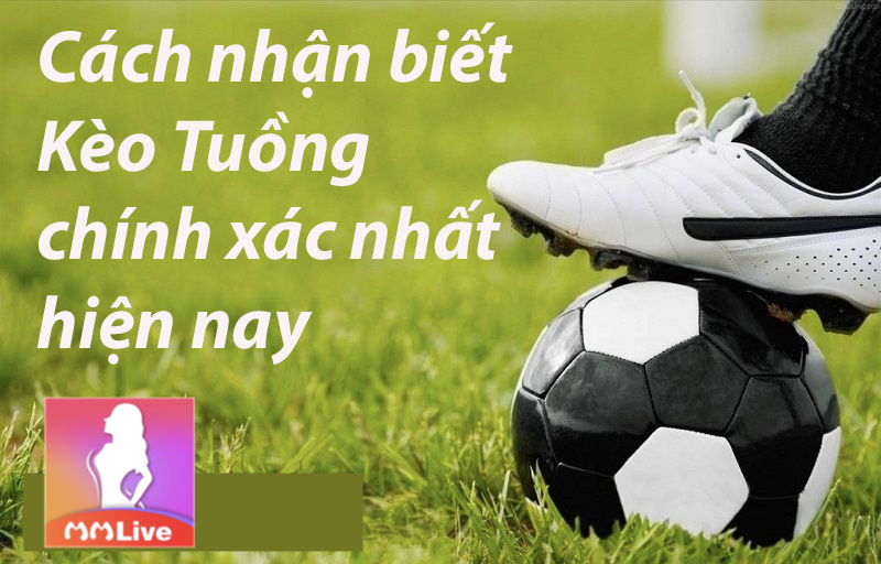 Kèo tuồng và học mẹo để tránh bị nhà cái ăn hết tiền 2 nhận biết kèo tuồng