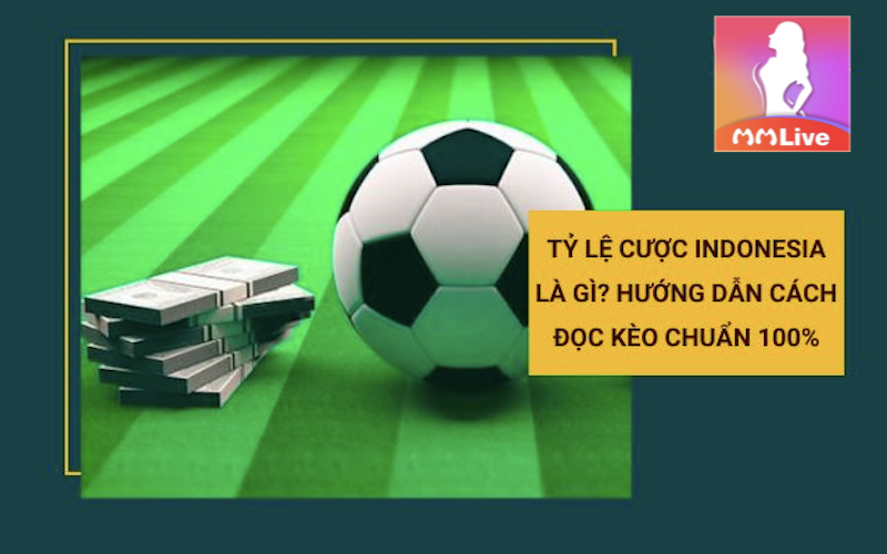 Tỷ lệ cược Indonesia - Thủ thuật chơi ăn chắc kết quả thắng 3 đọc kèo Indonesia