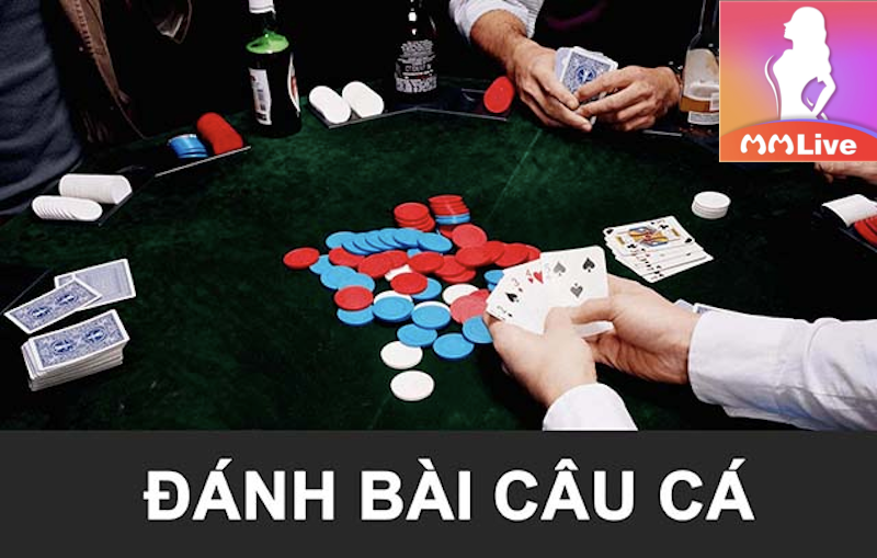 Đánh bài câu cá - Nắm vững quy luật để giành chiến thắng tuyệt đối 1 Đánh bài câu cá