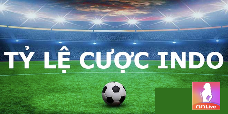 Tỷ lệ cược Indonesia - Thủ thuật chơi ăn chắc kết quả thắng 2 tính kèo Indo