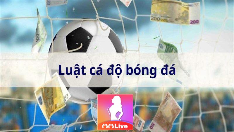 Luật cá độ bóng đá: Quy tắc vàng cho người chơi cược thể thao 1 Luật cá độ bóng đá