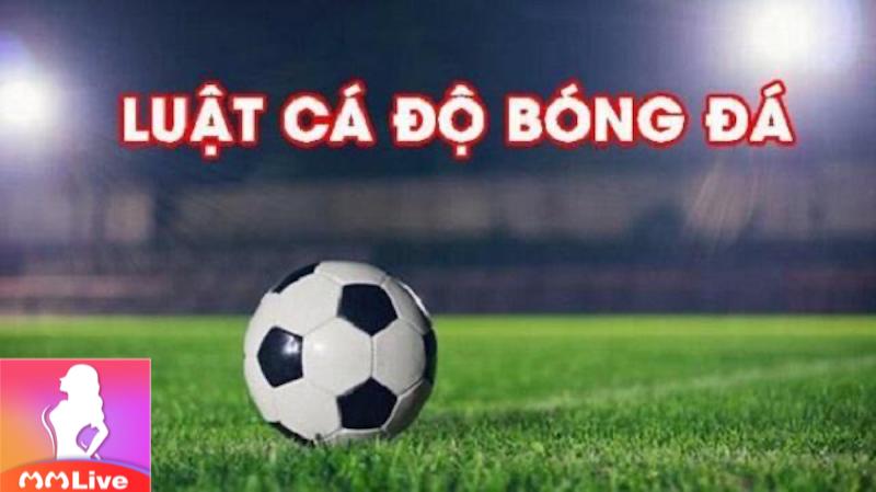 Luật cá độ bóng đá: Quy tắc vàng cho người chơi cược thể thao 3 cá độ bóng đá chấp