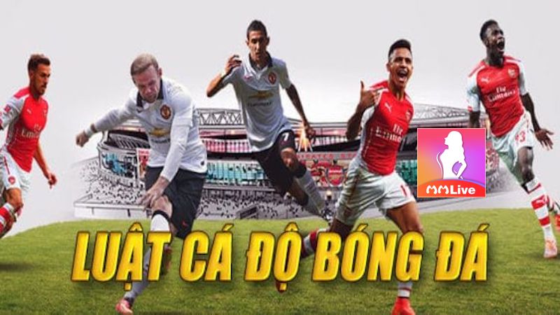 Luật cá độ bóng đá: Quy tắc vàng cho người chơi cược thể thao 2 cá độ bóng đá phổ biến