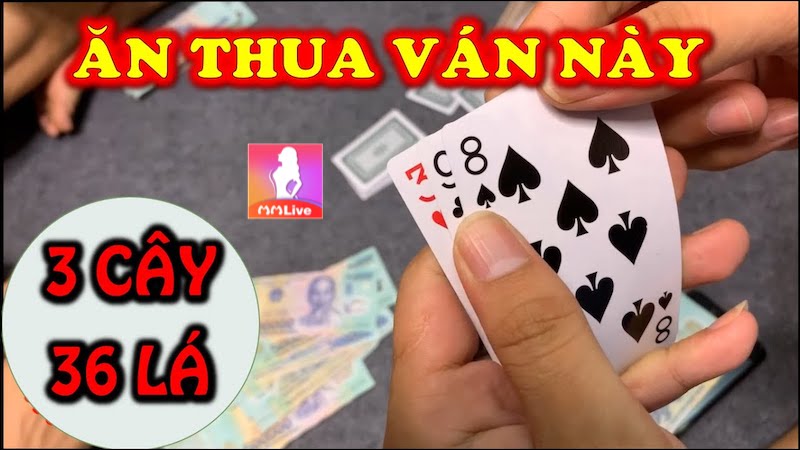 Bài Tố 3 Lá - Bí mật chiến thuật và may mắn trong tầm tay 1 Bài tố 3 lá