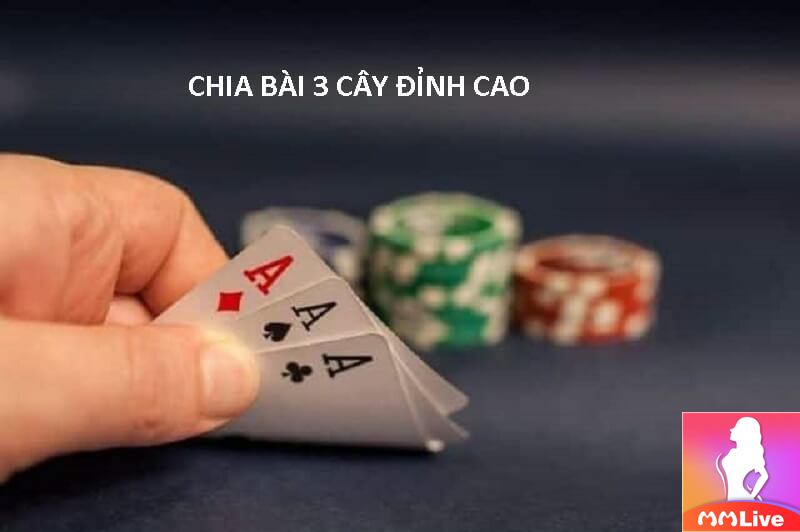 Bài Tố 3 Lá - Bí mật chiến thuật và may mắn trong tầm tay 3 bài 3 cây