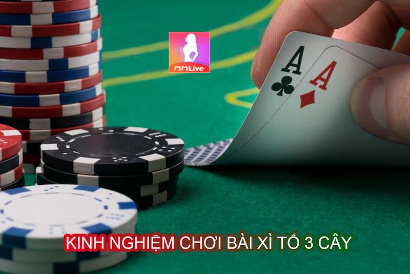 Bài Tố 3 Lá - Bí mật chiến thuật và may mắn trong tầm tay 2 bài tố 3 lá online
