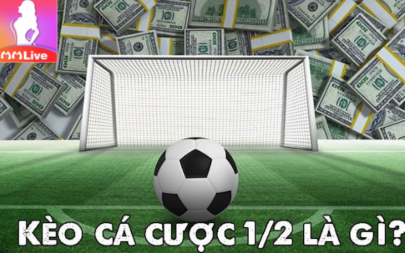 Bí quyết chọn lựa kèo Euro đạt hiệu quả cao và đảm bảo chiến thắng 100% 2 Kèo cá cược chấp 1/2