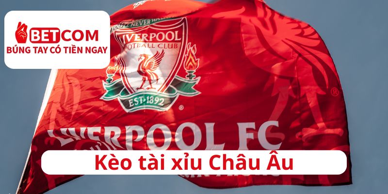 Cách soi kèo Tài Xỉu (Over/Under) cho người mới 3 Kèo tài xỉu Châu Âu