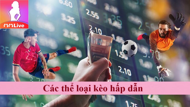 Sảnh cược thể thao MMLive: Nơi hội tụ các anh tài máu lửa 3 Các thể loại kèo hấp dẫn