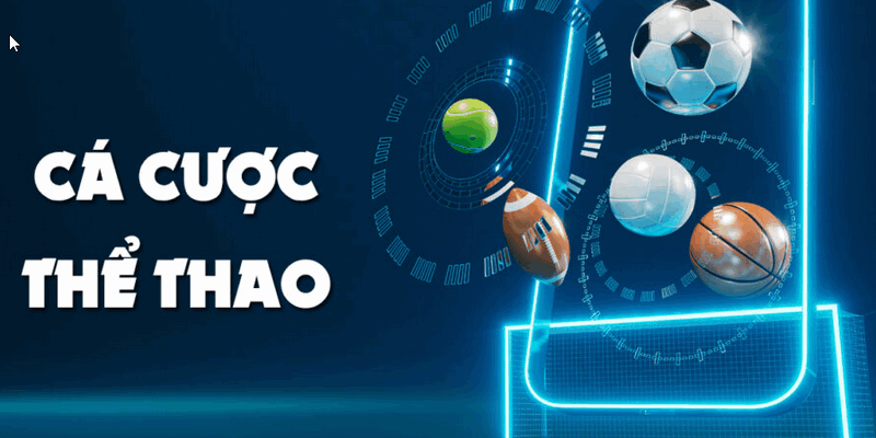 Thể thao Vipwin - Sân Chơi Cá Cược Được Quan Tâm Nhất Trong Năm 2025 1 Giới thiệu vài nét về sân chơi Thể thao Vipwin trực tuyến